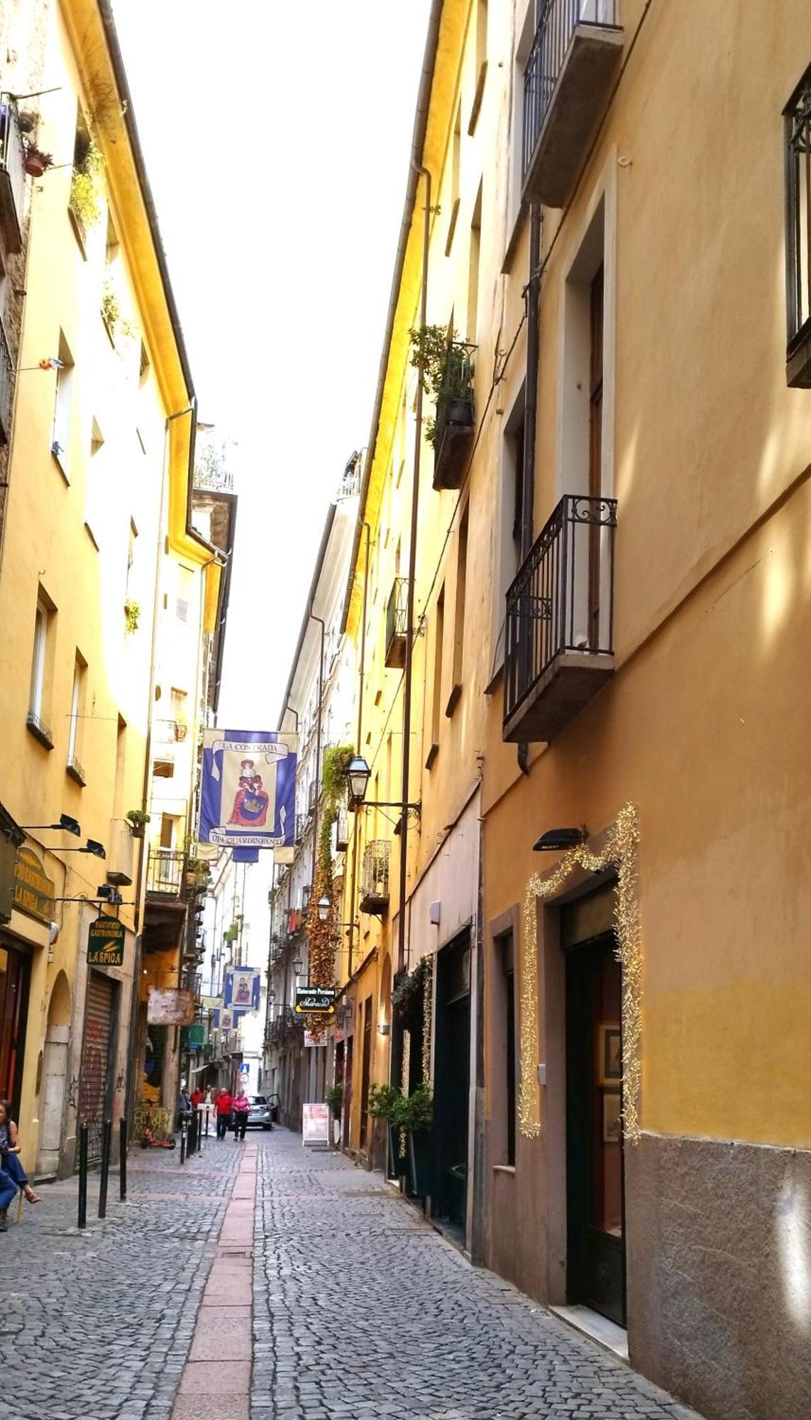 Calin Apartment Turin Exterior foto