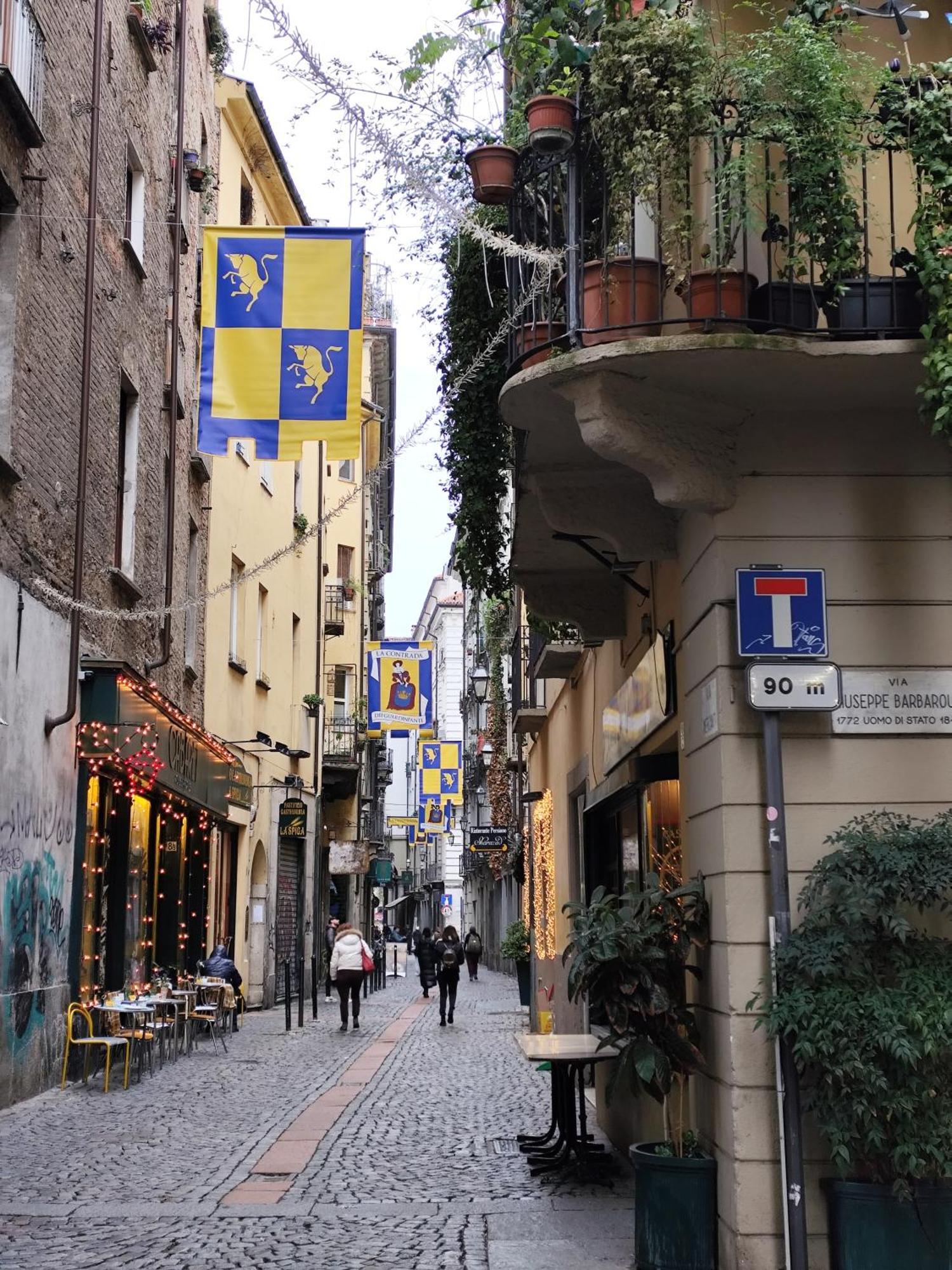 Calin Apartment Turin Exterior foto